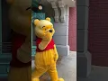 Download Lagu Winnie the Pooh at Disneyland Paris 🍯 #disney #disneylandparis #winniethepooh #shorts #disneyland