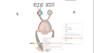 Lesões em via óptica