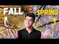 Spring vs Fall Which Admission Season Should You Go For