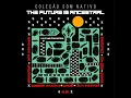 Pedju Kunumigwe - Alok, Guarani Nhandewa & Coleção Som Nativo