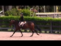 Delphina DF Hannah Selleck young hunter WEF 8