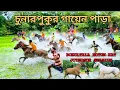 Download Lagu নতুনহাট চুনারপুকুর গায়েন পাড়া ঘোড়া দৌড় রেস প্রথম খাজাবাবা দ্বিতীয় গোপাল নগর ইয়াজউদ্দিন #Race
