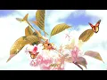 DAVID MORRIS - BUTTERFLIES