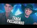 Download Lagu Traga passarinho - Adelino Nascimento [VERSÃO NATANZINHO LIMA ] QUALITYREMIX