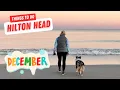 Things to do in Hilton Head in DECEMBER