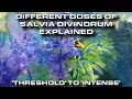 A Realistic Explanation of Salvia s Effects
