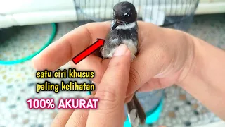 the easiest way to distinguish male and female fan brushes