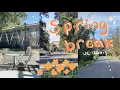 vlog my spring break at uc davis arboretum cooking food