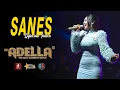 Download Lagu Sanes - Difarina Indra - OM. Adella Live Kaliwungu Kendal Diana Ria Enterprise | SMS Pro Audio