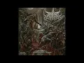 Download Lagu SOUL OF SLAMMING-valied the thruth