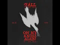 Fall (Live) - VOUS Worship & Nate Diaz