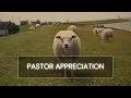 Pastor Appreciation - Thank You