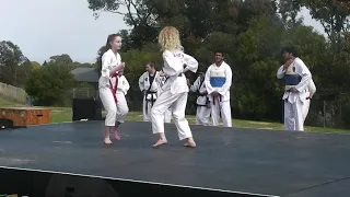 15 Min Demonstration at Seaview Downs Primary School - Spring Fair October 2019