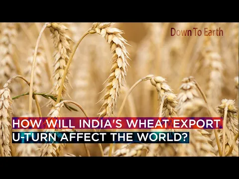 How will India's wheat export U-turn affect the world?