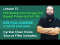 Lesson 13 - CSS Full Course in Hindi and Urdu