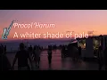 Download Lagu A whiter shade of pale (Procol Harum)Sax.Cover Aiden