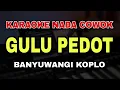 Download Lagu GULU PEDOT - KARAOKE NADA COWOK || DANGDUT KOPLO