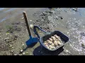 Clam digging at WA beach