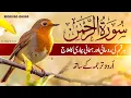 Lagu Surah Rahman Urdu Tarjuma k Sath 🌿 Qari Al Sheikh Abdul Basit Abdul Samad