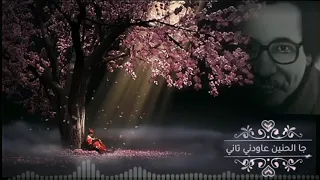 مصطفى سيد احمد شمس الاماني 