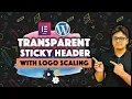 How to create transparent sticky WordPress header with logo Shrink effect Using Elementor