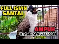 Lagu KUTILANG GACOR FULL ISIAN NGEPLONG SANTAI PALING AMPUH UNTUK MASTERAN KUTILANG BAHAN