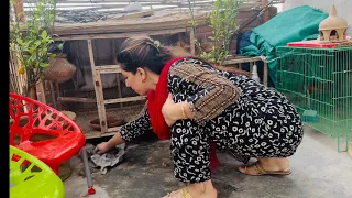  desi girl daily cleaning vlog full house cleaning routine cleaning motivation