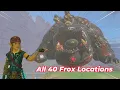All 40 Frox Locations Legend of Zelda Tears of The Kingdom