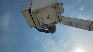                                     دندنها