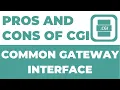 Pros and Cons of Common Gateway Interface CGI Complete Course
