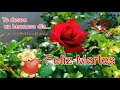 Rosas especiales para ti que eres especial Feliz Martes