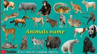 wild animals names pictur and sounds wild animals names hindi