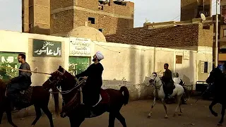 موكب فرسان قنا بمنطقة سيدي عبد الرحيم القنائي 