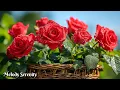 Lagu A beautiful melody that will bring tears to your eyes🌺Music for the soul🌿Magnificent music by Serg