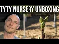 Tyty Nursery unboxing bareroot persimmon trees How to plant in the desert Matsumoto Hana Giant