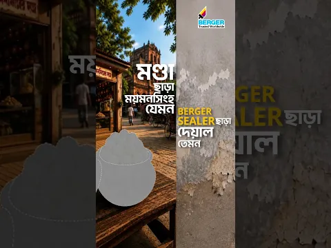 রঙ খসে পড়া থেকে দেয়ালকে বাঁচাতে রঙের আগে লাগান Berger Sealer