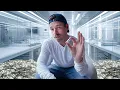 How I Became A Peptide Millionaire