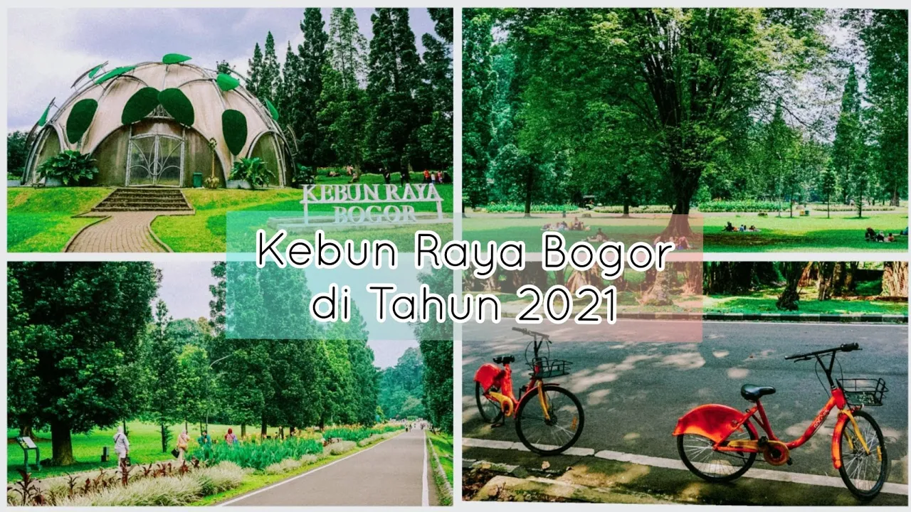 Kebun Raya Bogor Kembali Dibuka, Ini Cara Pesan Tiket Masuk Kebun via Tiketkebunraya.id