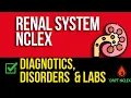 Renal System Kidney Disorders NCLEX Review Diagnostics Labs Failure