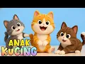 Lagu LAGU ANAK 🇮🇩 ANAK KUCING MEONG MEONG - KITTEN SONG - LAGU ANAK BALITA VIRAL