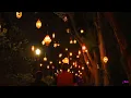 Dazzling Nights Orlando 2023