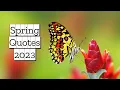 Best Spring Quotes 2023 Quotes in English