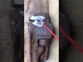 WD40 use the rusty wrench