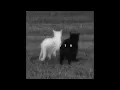 Download Lagu DJ Danvata🎧 WE CANT BE FRIENDS SPEED UP X REVERB By 𝖆𝖐𝖎𝖗𝖆🥀