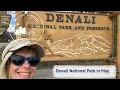 Denali in early May