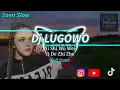 Download Lagu Dj Lugowo(Ni Shi Wo Wei Yi De Zhi Zhe)