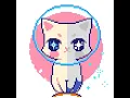 Gif cat no sponsored