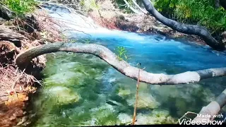 صلوا صلوا ع رسول الله عليه افضل الصلاة والسلام حسين الجسمي كاملة  صلوا صلوا ع رسول الله عليه افضل الصلاة والسلام حسين الجسمي كاملة