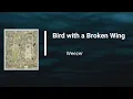 Weezer  - Bird with a Broken Wing (Lyrics)