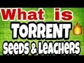 what is SEEDS and LEECHERS How TORRENT WORKS